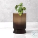 Horizon Ash Burnt Gold End Table