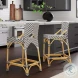 Creanly Black and White Rattan Counter Height Stool