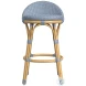 Tobias Baby Blue Outdoor Low Back Counter Height Stool