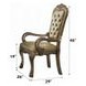 Dresden Gold Patina Upholstered Arm Chair with Nailhead Trim Set of 2