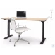 Universel 60" Northern Maple Electric Height Adjustable Table