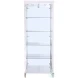 6652 Clear Glass And Polished Stainless Steel Curio Cabinet