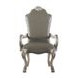 Dresden Gray Upholstered Arm Chair with Nailhead Trim Set of 2