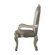 Dresden Gray Upholstered Arm Chair with Nailhead Trim Set of 2
