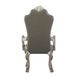 Dresden Gray Upholstered Arm Chair with Nailhead Trim Set of 2