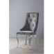 Dekel Gray Upholstered Side Chair Set of 2
