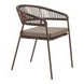 Skye Brown Upholstered Outdoor Dining Chair Set of 2