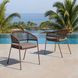 Skye Brown Upholstered Outdoor Dining Chair Set of 2