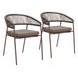 Skye Brown Upholstered Outdoor Dining Chair Set of 2