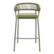 Skye Green Upholstered Outdoor Bar Stool Set of 2