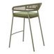 Skye Green Upholstered Outdoor Bar Stool Set of 2