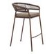 Skye Brown Upholstered Outdoor Bar Stool Set of 2