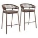Skye Brown Upholstered Outdoor Bar Stool Set of 2