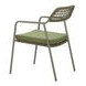 Rio Green Upholstered Outdoor Dining Chair Set of 2