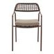 Rio Brown Upholstered Outdoor Dining Chair Set of 2