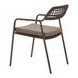 Rio Brown Upholstered Outdoor Dining Chair Set of 2