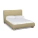 Rayne Honey Queen Upholstered Panel Bed