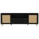Arini Black 2 Door Rattan Cane TV Stand