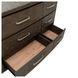 Cascade Falls Satin Espresso 9 Drawer Dresser with Mirror