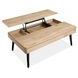 Craftsman Ridge Driftwood and Black Rectangular Lift Top Cocktail Table