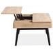 Craftsman Ridge Driftwood and Black Rectangular Lift Top Cocktail Table