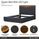 Kayner Charcoal Queen Platform Bed with LED and USB Charging