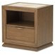 Portrait Sienna Brown 1 Drawer Nightstand with LED