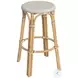 Tobias Tan and Beige Rattan Performance Fabric Bar Stool