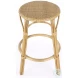 Tobias Natural Rattan Performance Fabric Counter Height Stool
