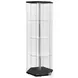 Zahavah Black And Clear Curio Cabinet