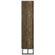 Carolyn Rustic Oak And Gunmetal 2 Door Tall Accent Cabinet