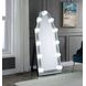 Noralie Silver and Gray Arched Floor Mirror with Light