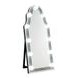 Noralie Silver and Gray Arched Floor Mirror with Light