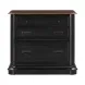 Roanoke Black File Cabinet