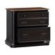 Roanoke Distressed Black File Cabinet