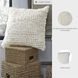 Aavie Ivory Accent Pillow