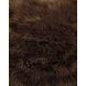 Bellethrone Brown Accent Pillow