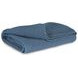 Gayelery Blue Throw