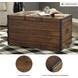 Kettleby Brown Storage Trunk