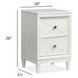 Springhouse Whisper White 2 Drawer Nightstand with USB Charging