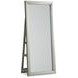 Evesen Champagne Rectangular Floor Mirror with Storage and LED