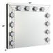 Noralie Silver Rectangular Hollywood Wall Mirror with Light