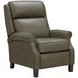 Amber Oasis Olive Leather Power Recliner with USB Charging