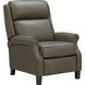 Amber Oasis Olive Leather Dual Power Recliner with Power Headrest and USB Charging