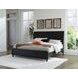 Danziar Matte Black King Panel Headboard