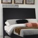 Danziar Black Queen Panel Bed