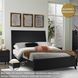 Danziar Black Queen Panel Bed