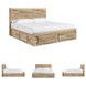 Hyanna Tan Queen Double Storage Platform Bed