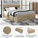 Hyanna Tan Queen Double Storage Platform Bed