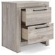 Ryderton Gray Youth Panel Bedroom Set